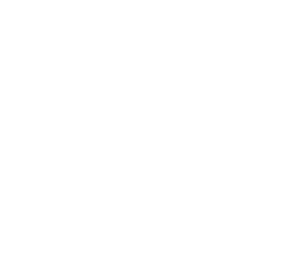 RY.DK Logo NEG
