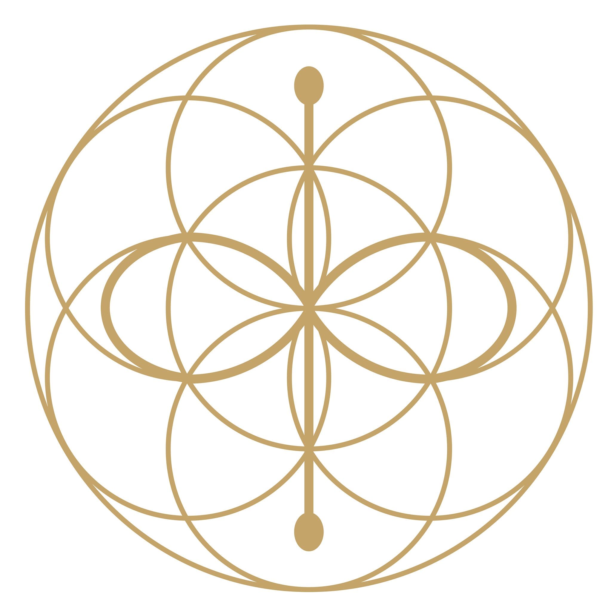 Himmelbjergården logo
