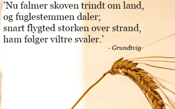 grundtvig sangaften